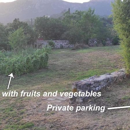 Villa Grecia 里亚帕德斯 外观 照片